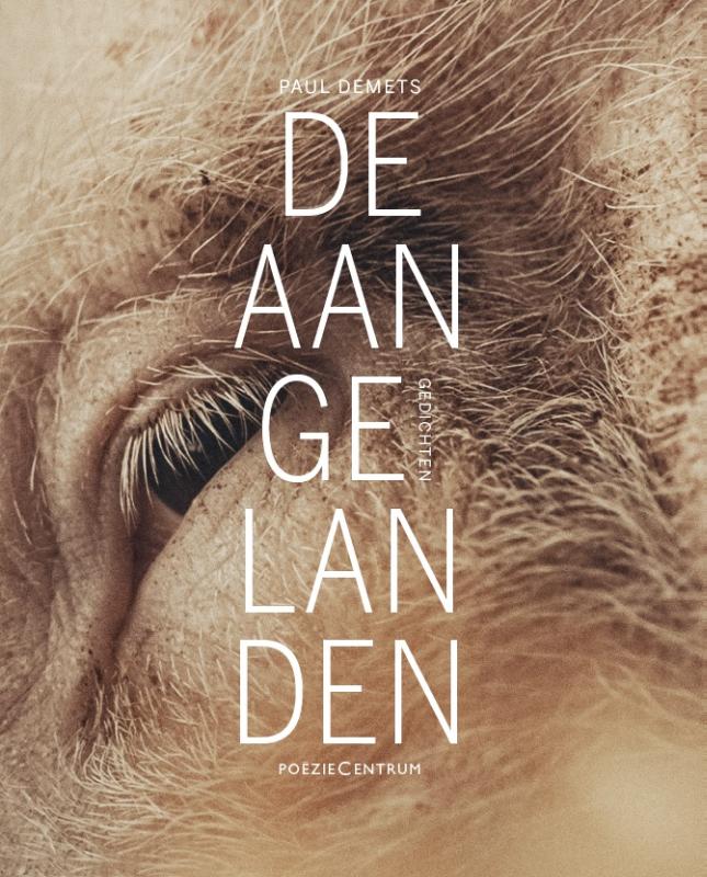 Omslag van De aangelanden