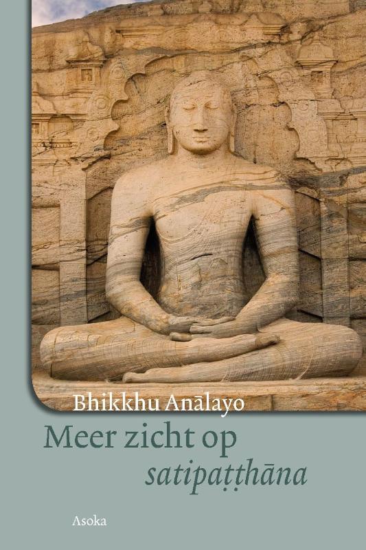 Omslag van Meer zicht op satipatthana