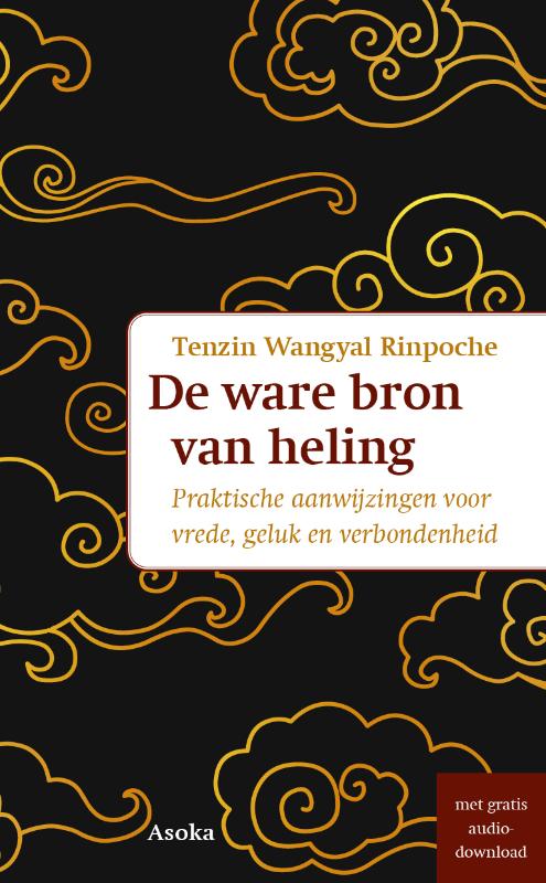 Omslag van De ware bron van heling