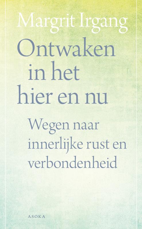 Omslag van Ontwaken in het hier en nu