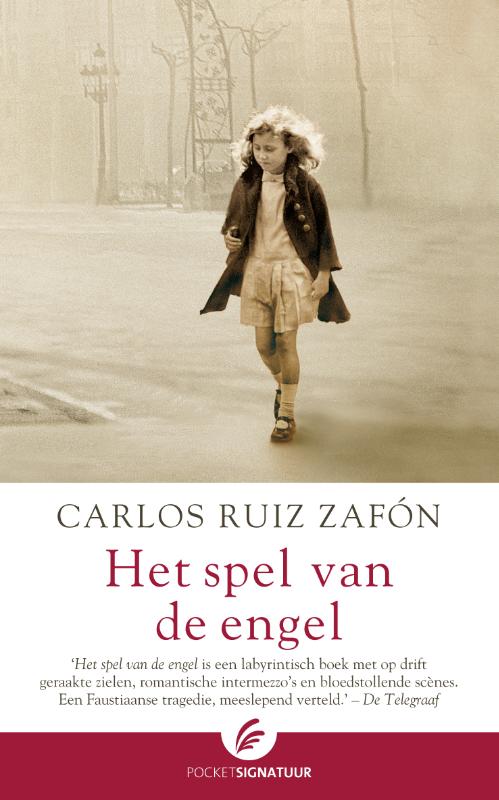 Omslag van Het spel van de engel