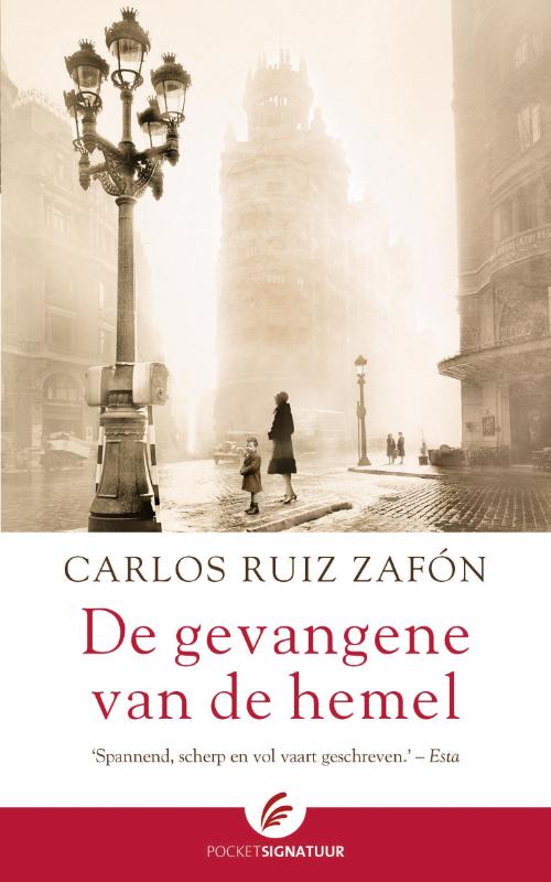 Omslag van De gevangene van de hemel