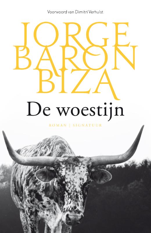 Omslag van De woestijn