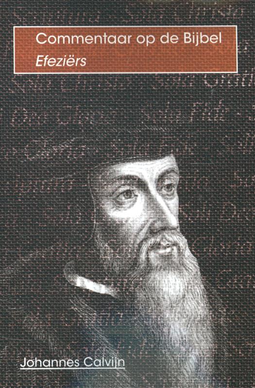 Omslag van De Efeziërs