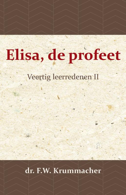 Omslag van Elisa, de profeet 2