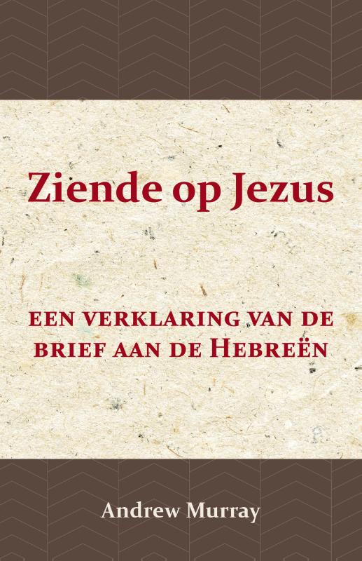Omslag van Ziende op Jezus