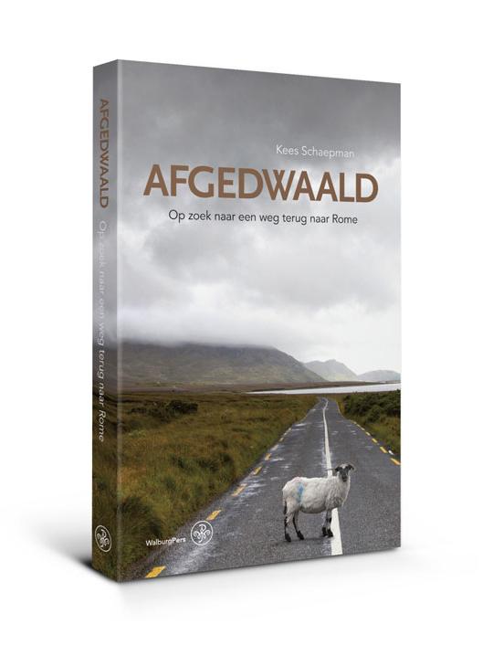 Omslag van Afgedwaald