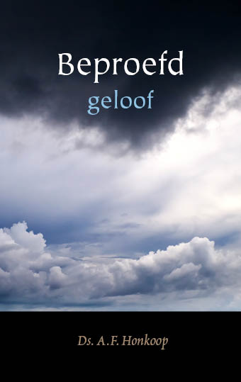 Omslag van Beproefd geloof