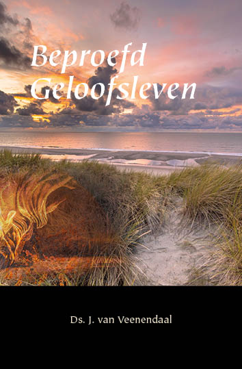 Omslag van Beproefd geloofsleven