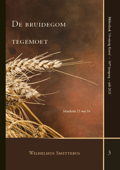 Omslag van De bruidegom tegemoet