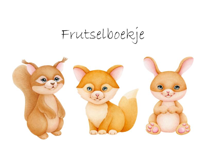 Omslag van Frutselboekje Mariska