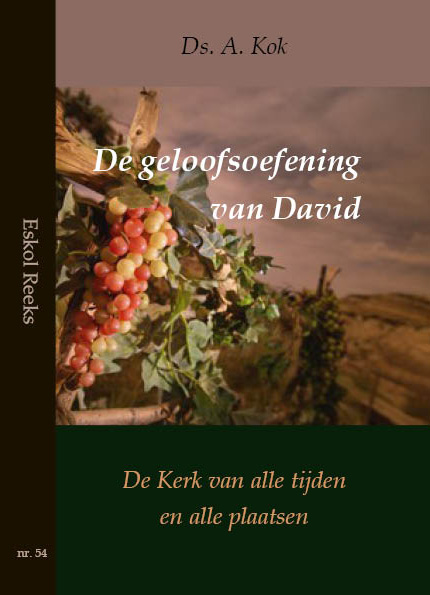 Omslag van De geloofsoefening van David