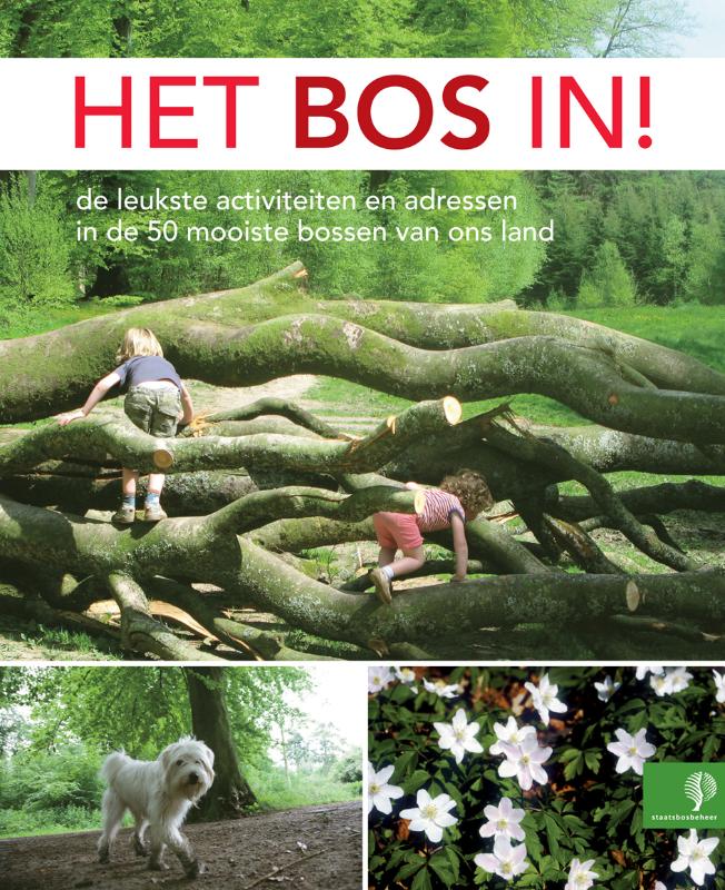 Omslag van het bos in!