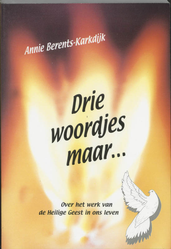 Omslag van Drie woordjes maar