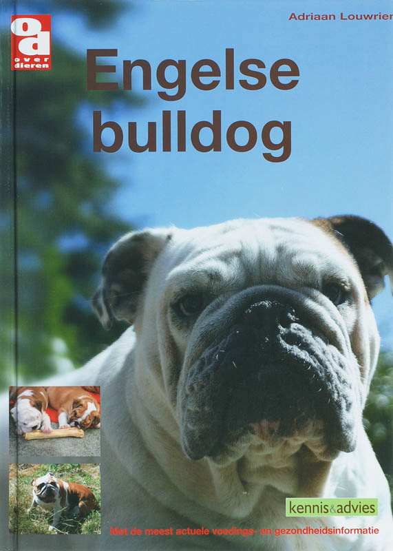 Omslag van Engelse bulldog