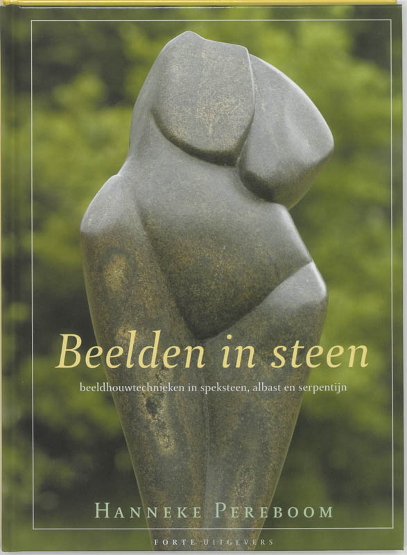 Omslag van Beelden in steen