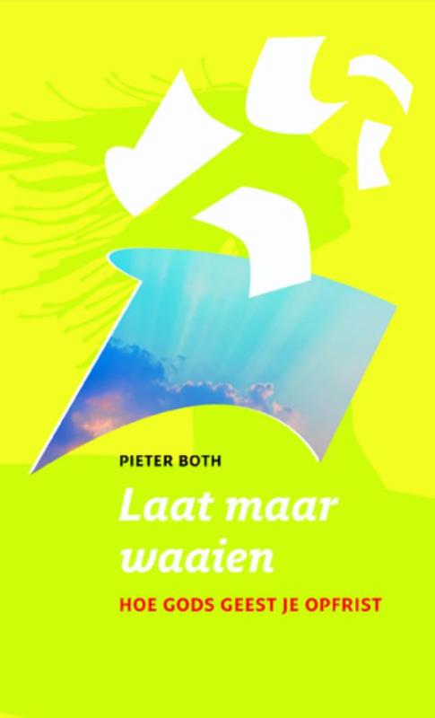 Omslag van Laat maar waaien