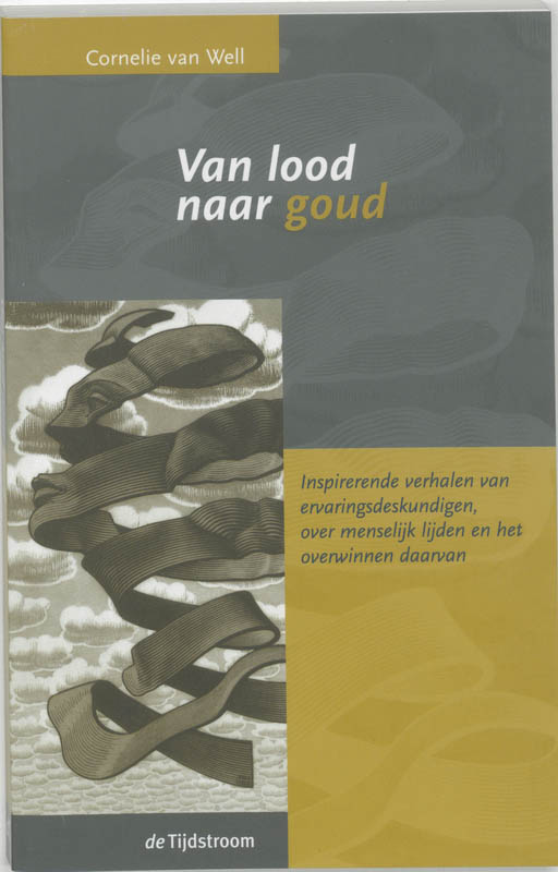 Omslag van Van lood naar goud