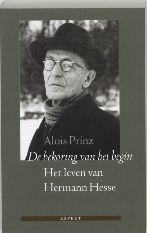 Omslag van De bekoring van het begin