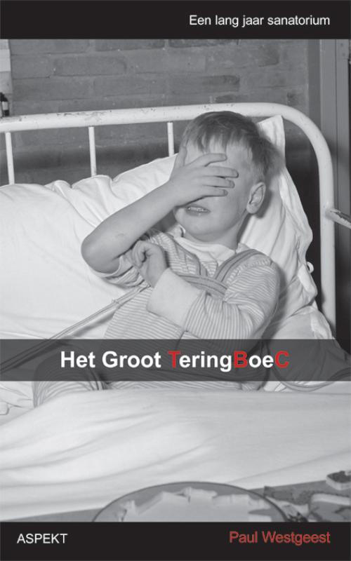 Omslag van Het groot Teringboec