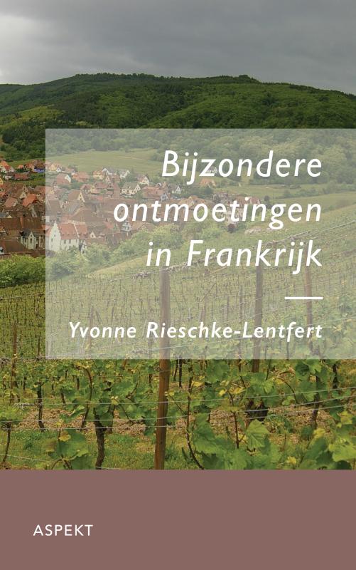 Omslag van Bijzondere ontmoetingen in Frankrijk