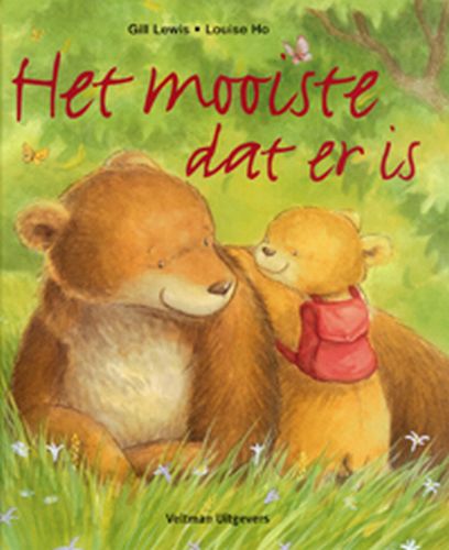 Omslag van Het mooiste dat er is