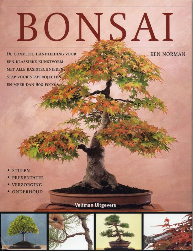 Omslag van Bonsai