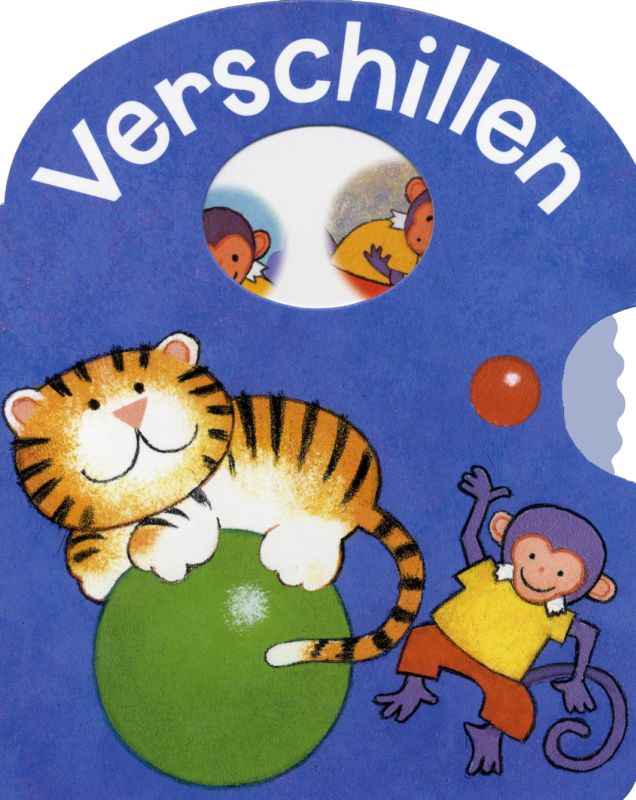 Omslag van Verschillen