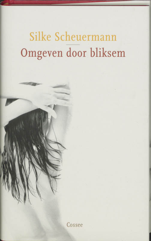 Omslag van Omgeven door bliksem
