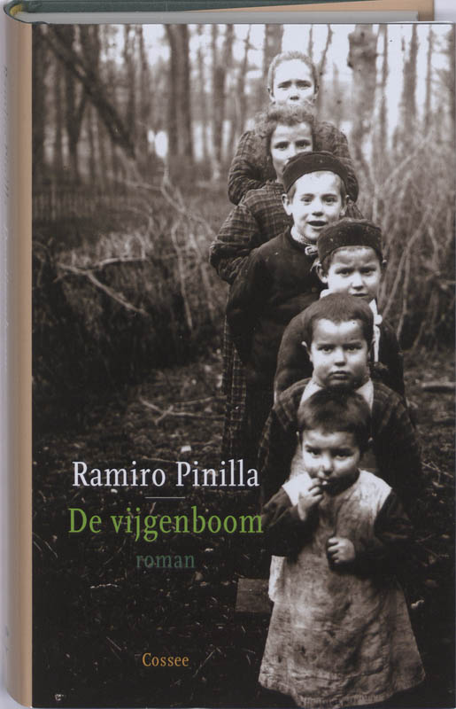 Omslag van De vijgenboom
