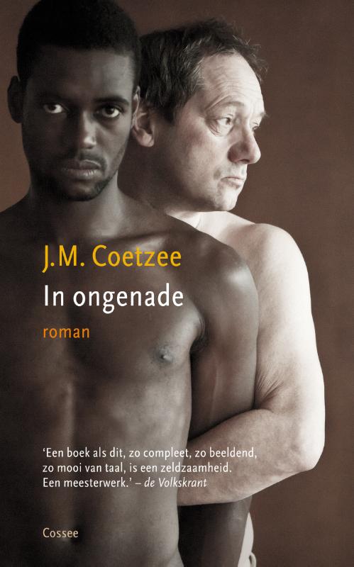 Omslag van In ongenade