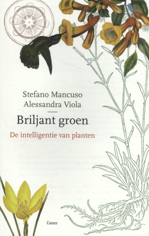 Omslag van Briljant groen