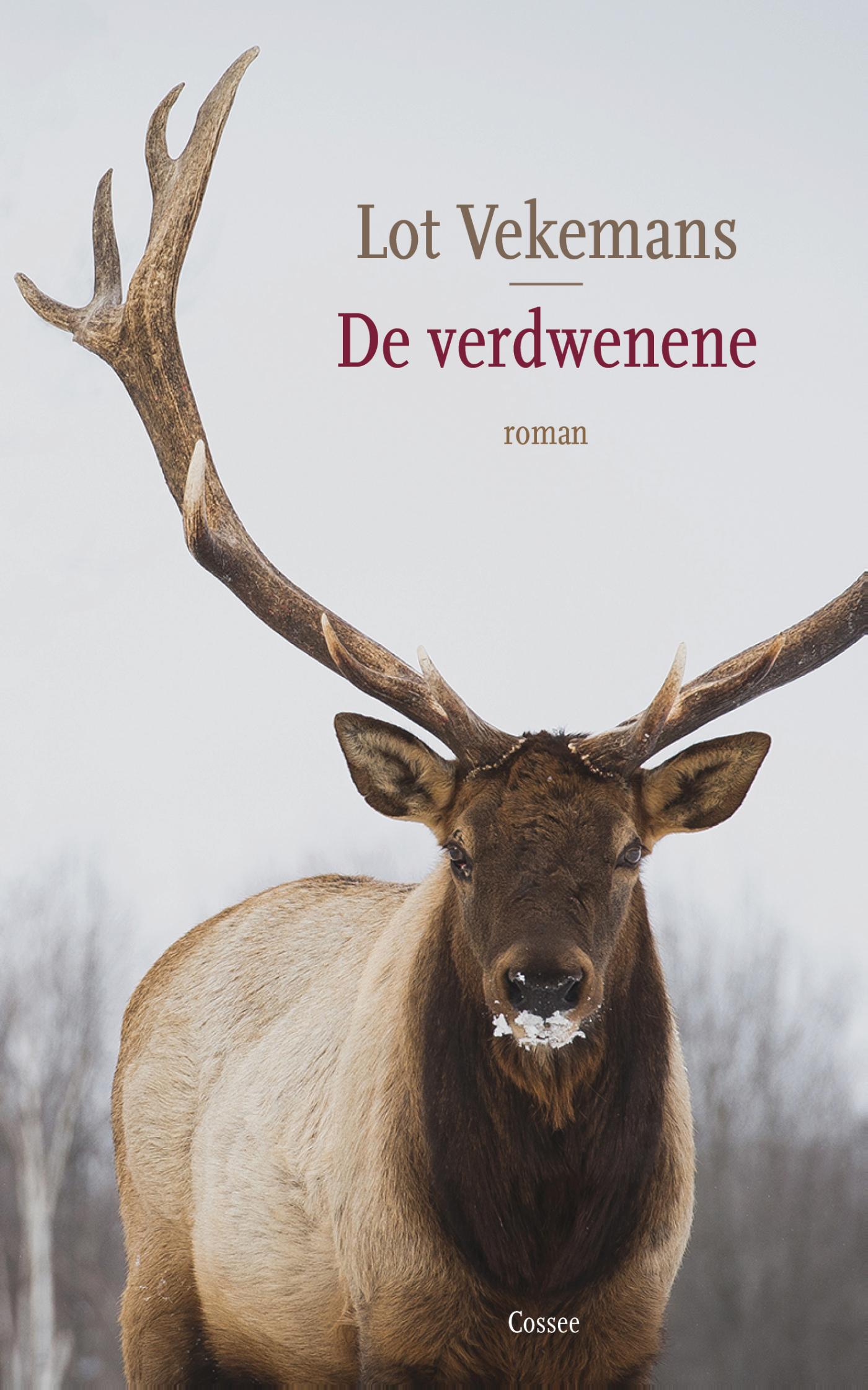 Omslag van De verdwenene
