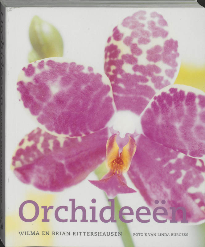 Omslag van Orchideeen