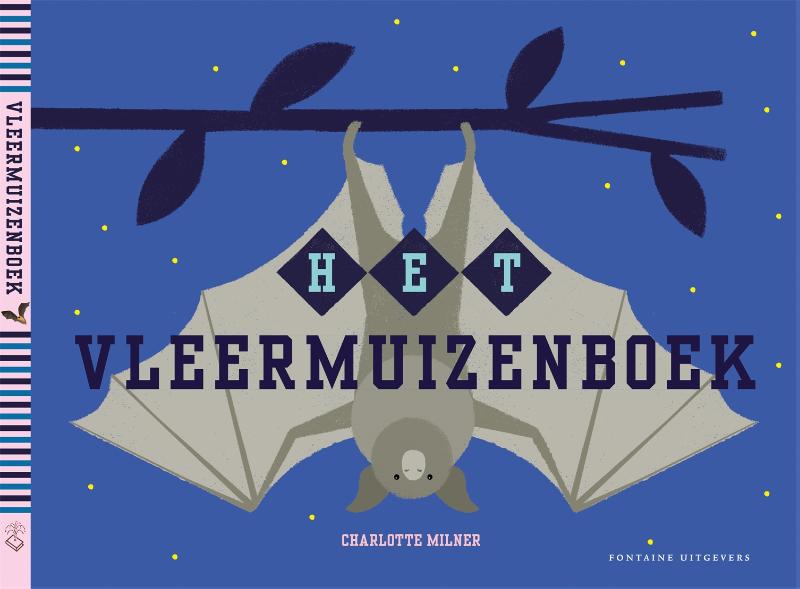 Omslag van Het vleermuizenboek