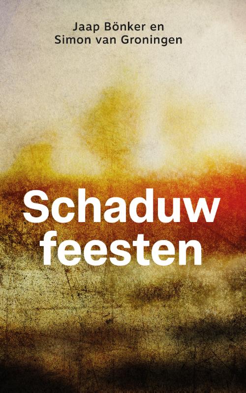 Omslag van Schaduwfeesten