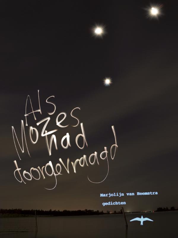 Omslag van Als Mozes had doorgevraagd