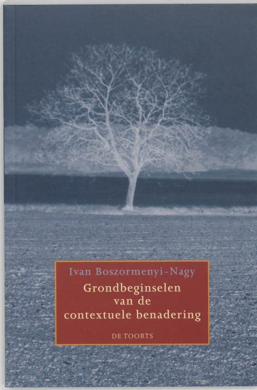 Omslag van Grondbeginselen van de contextuele benadering