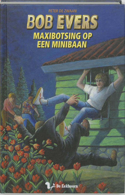 Omslag van Maxibotsing op een minibaan