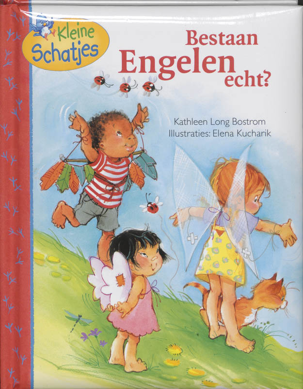 Omslag van Bestaan engelen echt?