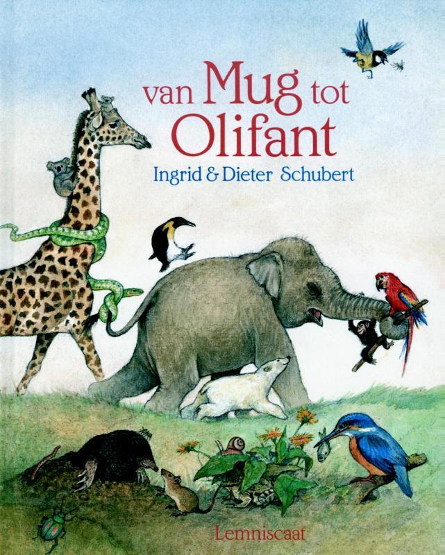 Omslag van Van mug tot olifant
