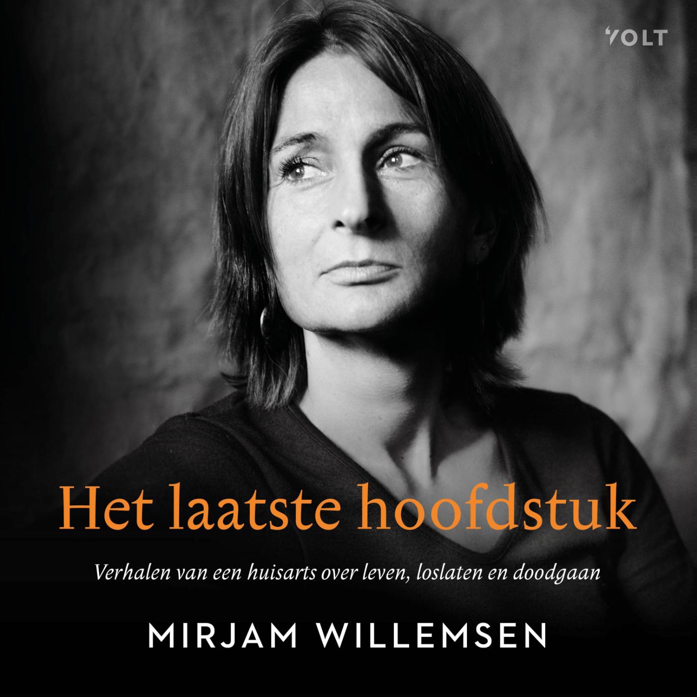 Omslag van Het laatste hoofdstuk