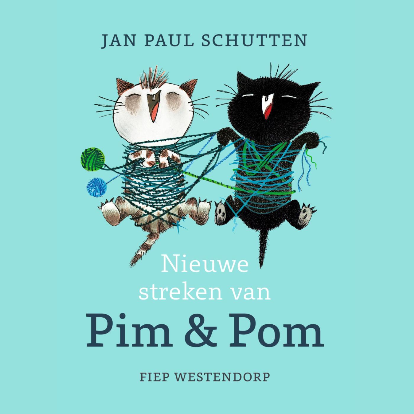 Omslag van Nieuwe streken van Pim & Pom