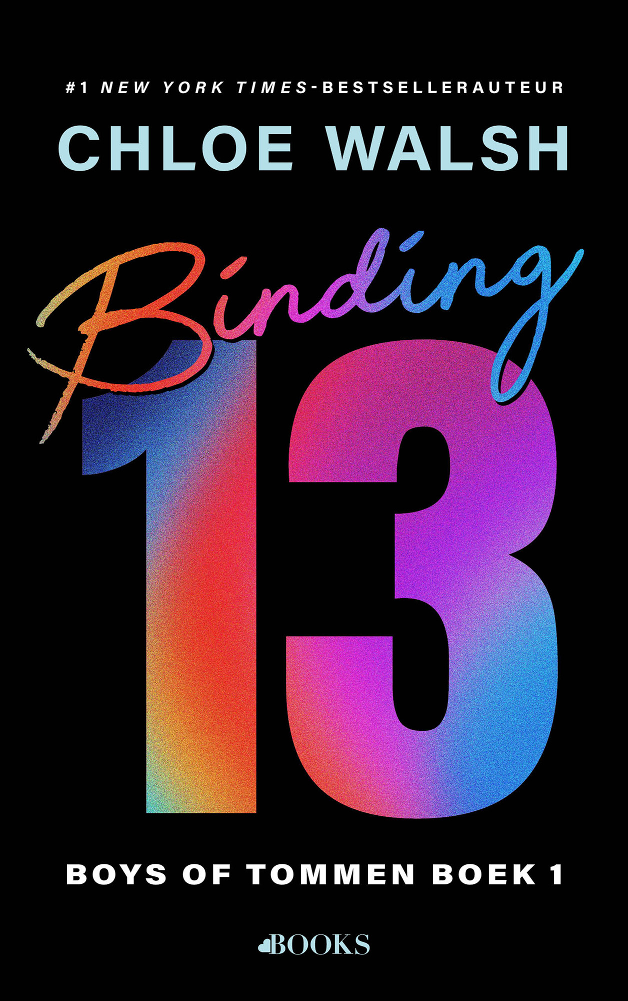 Omslag van Binding 13