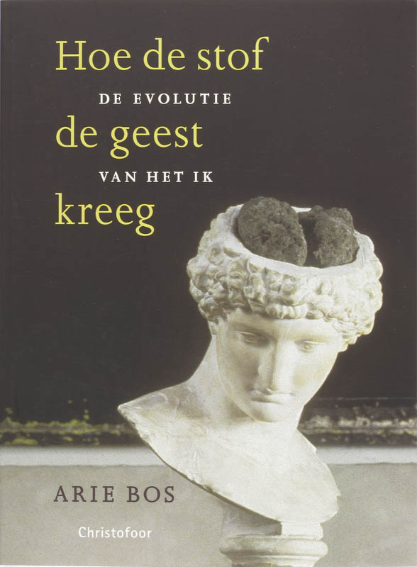 Omslag van Hoe de stof de geest kreeg