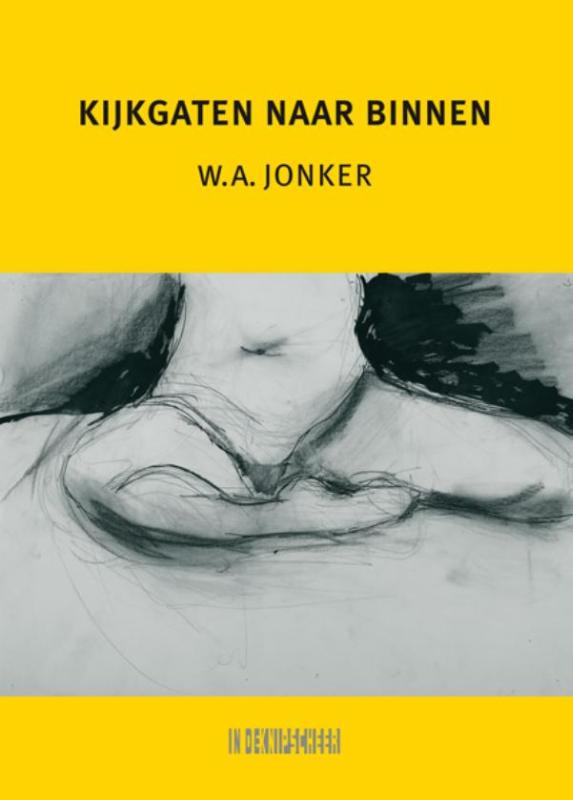Omslag van Kijkgaten naar binnen