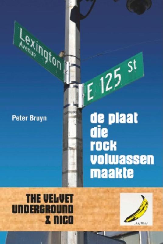 Omslag van De plaat die rock volwassen maakte