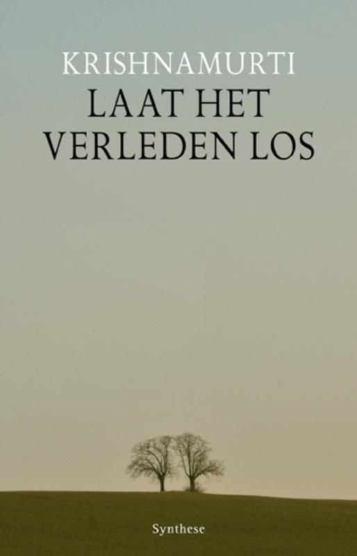 Omslag van Laat het verleden los