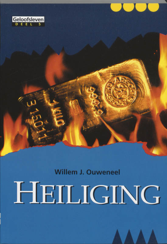 Omslag van Heiliging
