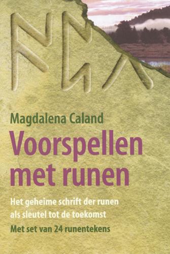 Omslag van Voorspellen met runen
